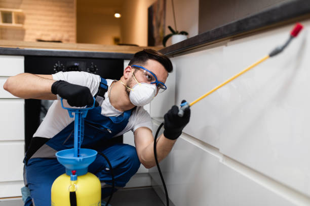 Best Wasp Removal Services  in Carlyss, LA