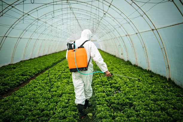 Best Best Pest Control Companies  in Carlyss, LA