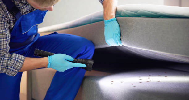 Best Pest Prevention Services  in Carlyss, LA
