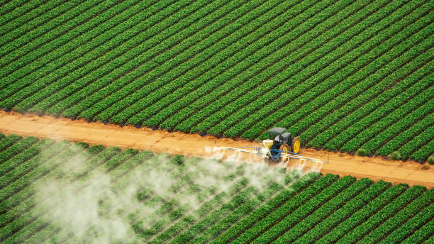 Best Pest Control for Homes  in Carlyss, LA
