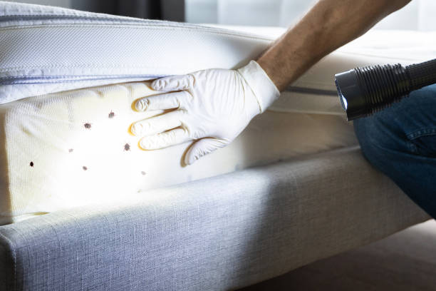Best Wildlife Control Services  in Carlyss, LA
