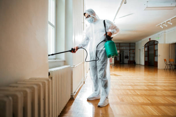 Best Residential Pest Control  in Carlyss, LA
