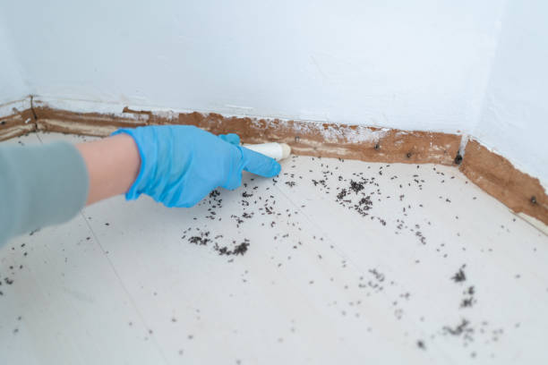 Best Pest Control for Restaurants  in Carlyss, LA